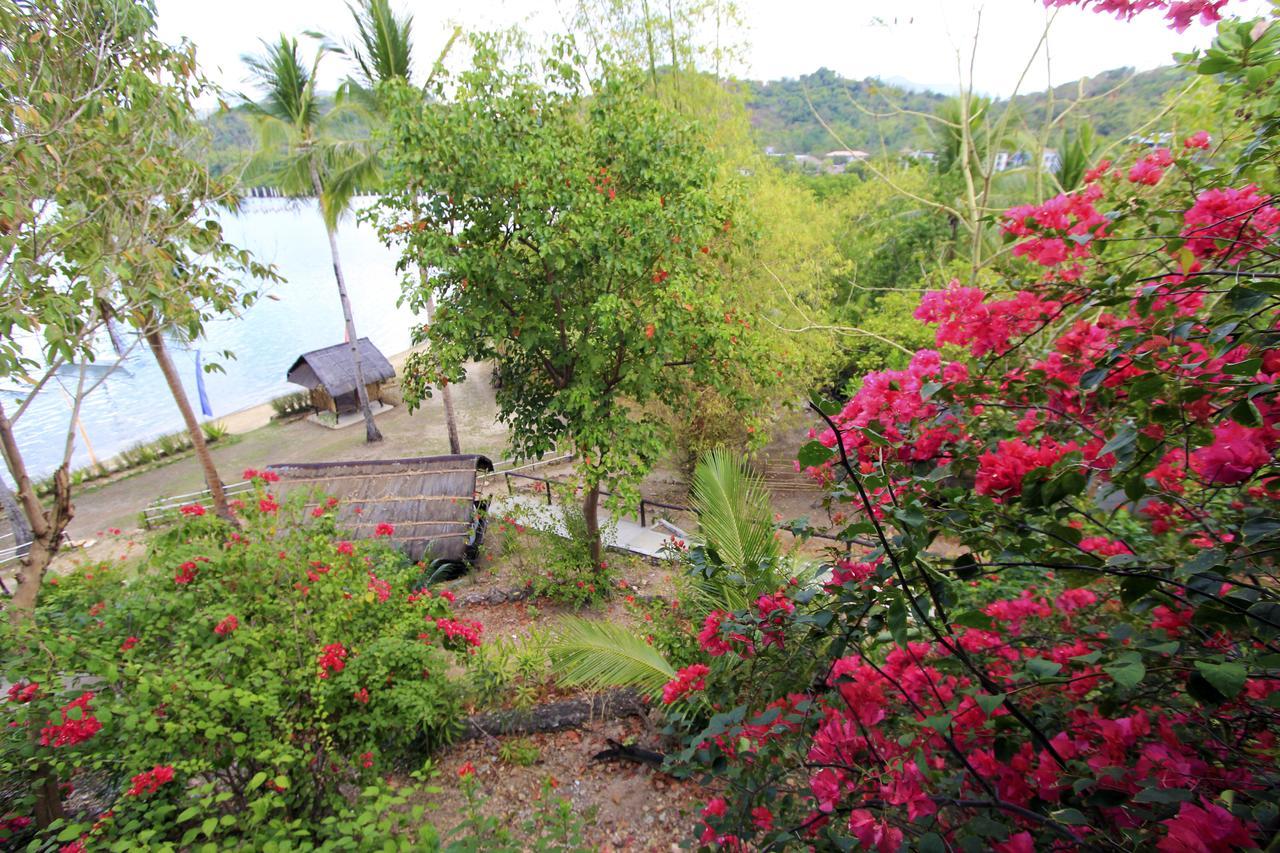 Discovery Island Resort Coron Exterior photo